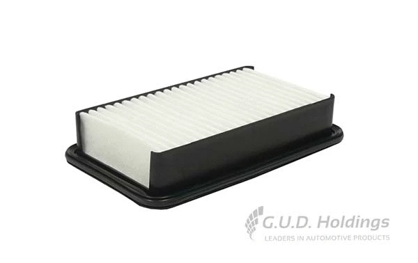 Air Filter (AG1567)