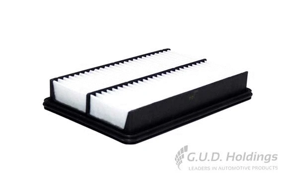 Air Filter (AG1697)