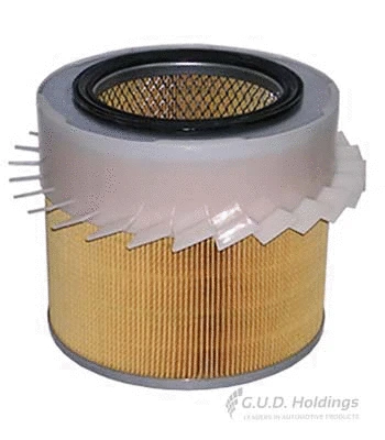 Air Filter (ADG1732)