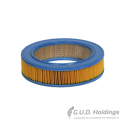 Air Filter (AG452)