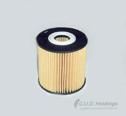 Oil Filter (M14)