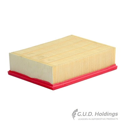 Air Filter (AG1031)