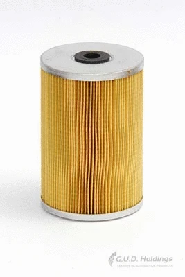 Fuel Filter (G817)