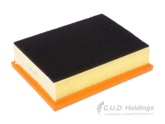 Air Filter (AG1437)