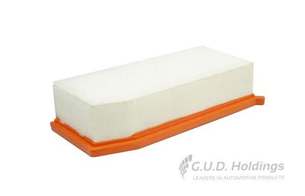 Air Filter (AG1712)