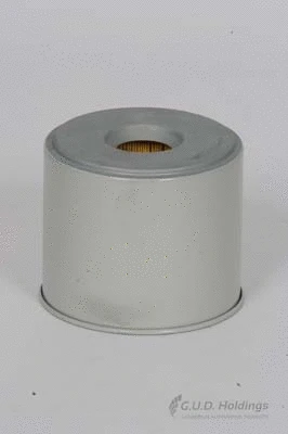 Fuel Filter (G629)