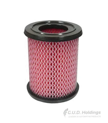 Air Filter (AG1553R)