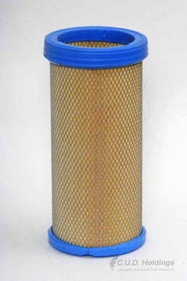 Secondary Air Filter (ADG991R)