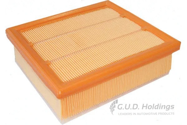 Air Filter (AG1787)