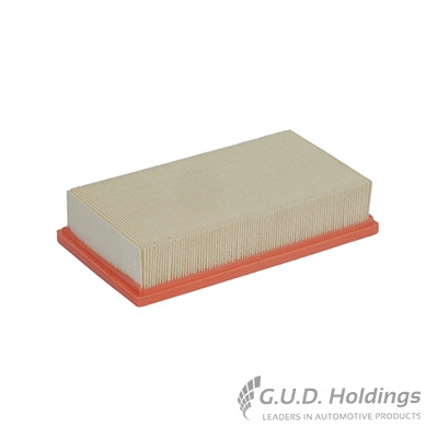 Air Filter (AG1033)