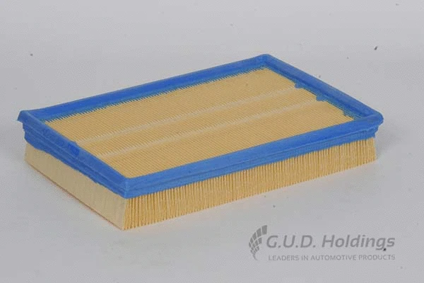 Air Filter (AG879)