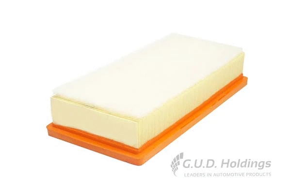 Air Filter (AG1466)