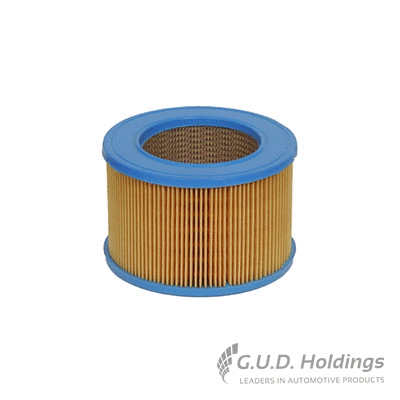 Air Filter (AG438)