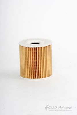 Oil Filter (M38)