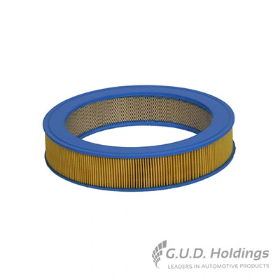 Air Filter (AG469P)