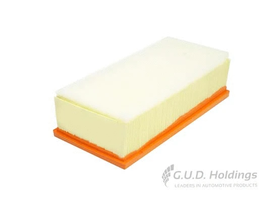 Air Filter (AG1325)