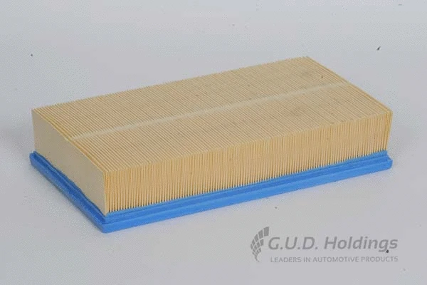 Air Filter (AG866)