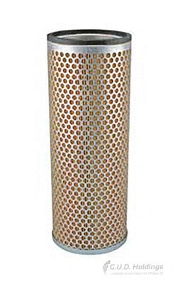 Secondary Air Filter (ADG1737)