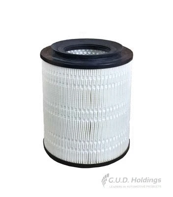 Air Filter (ADG1642)