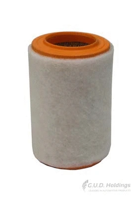 Air Filter (AG1663)