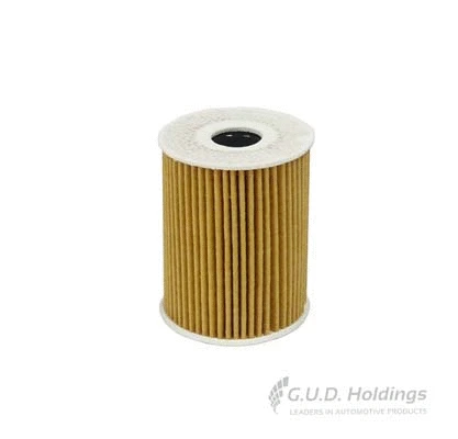 Oil Filter (M141)