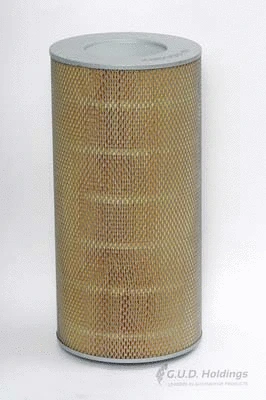 Air Filter (ADG982)
