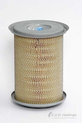 Air Filter (ADG893)