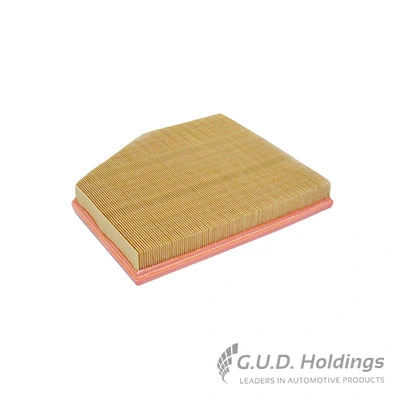Air Filter (AG1448)