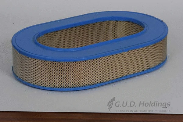 Air Filter (AG686)