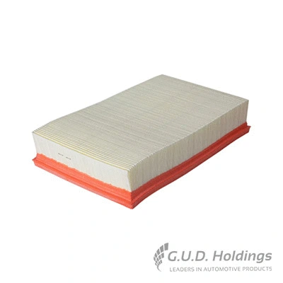Air Filter (AG1355)