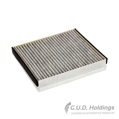 Filter, cabin air (AC30)