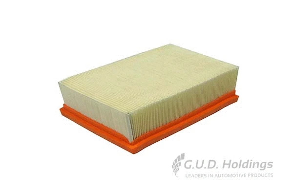 Air Filter (AG1691)