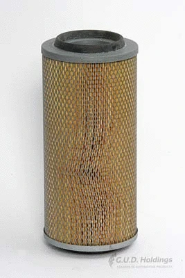 Air Filter (ADG1223)