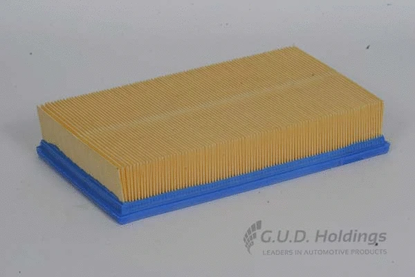 Air Filter (AG838)