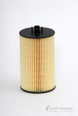 Oil Filter (M25)