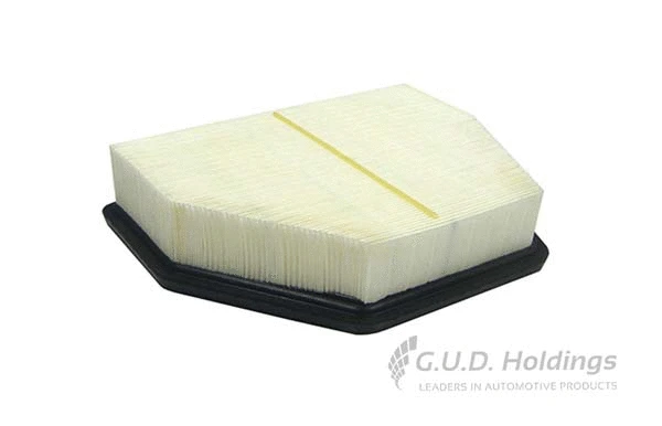 Air Filter (AG1522)
