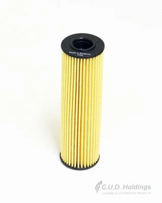 Oil Filter (M119)