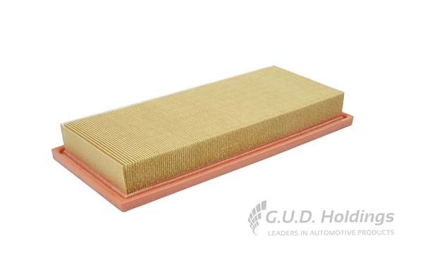 Air Filter (AG1582)