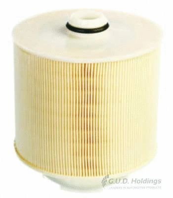 Air Filter (AG1411)