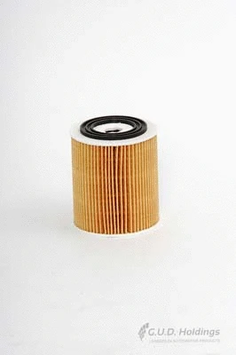 Oil Filter (M31)