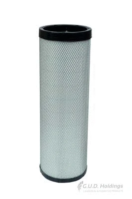 Secondary Air Filter (ADG1614R)