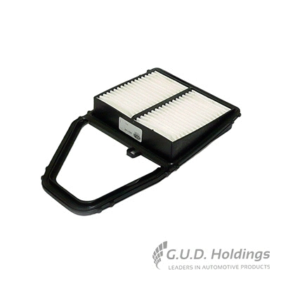 Air Filter (AG1145)