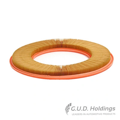 Air Filter (AG601)