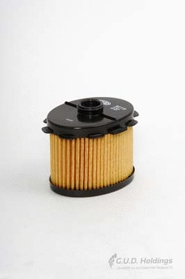 Fuel Filter (M19)
