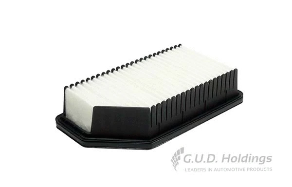 Air Filter (AG1702)