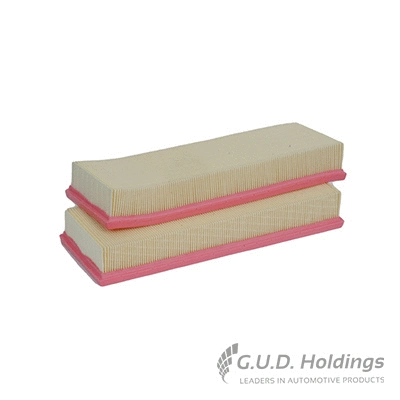 Air Filter (AG1027)