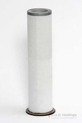 Secondary Air Filter (ADG535)