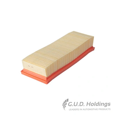 Air Filter (AG1422)