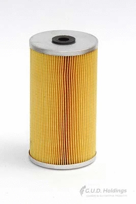 Fuel Filter (G935)