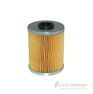 Fuel Filter (G1070)